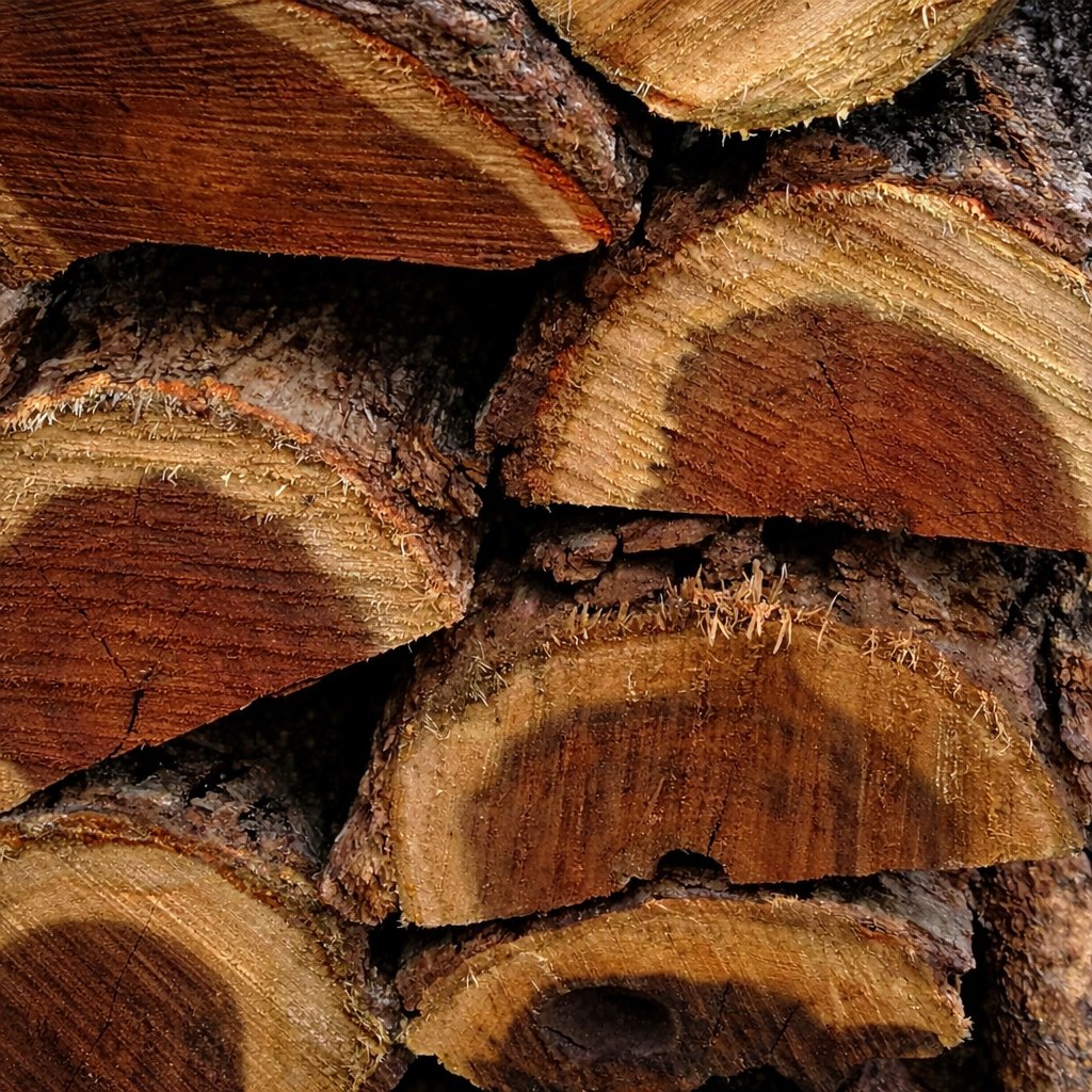 Bois brutes en scierie