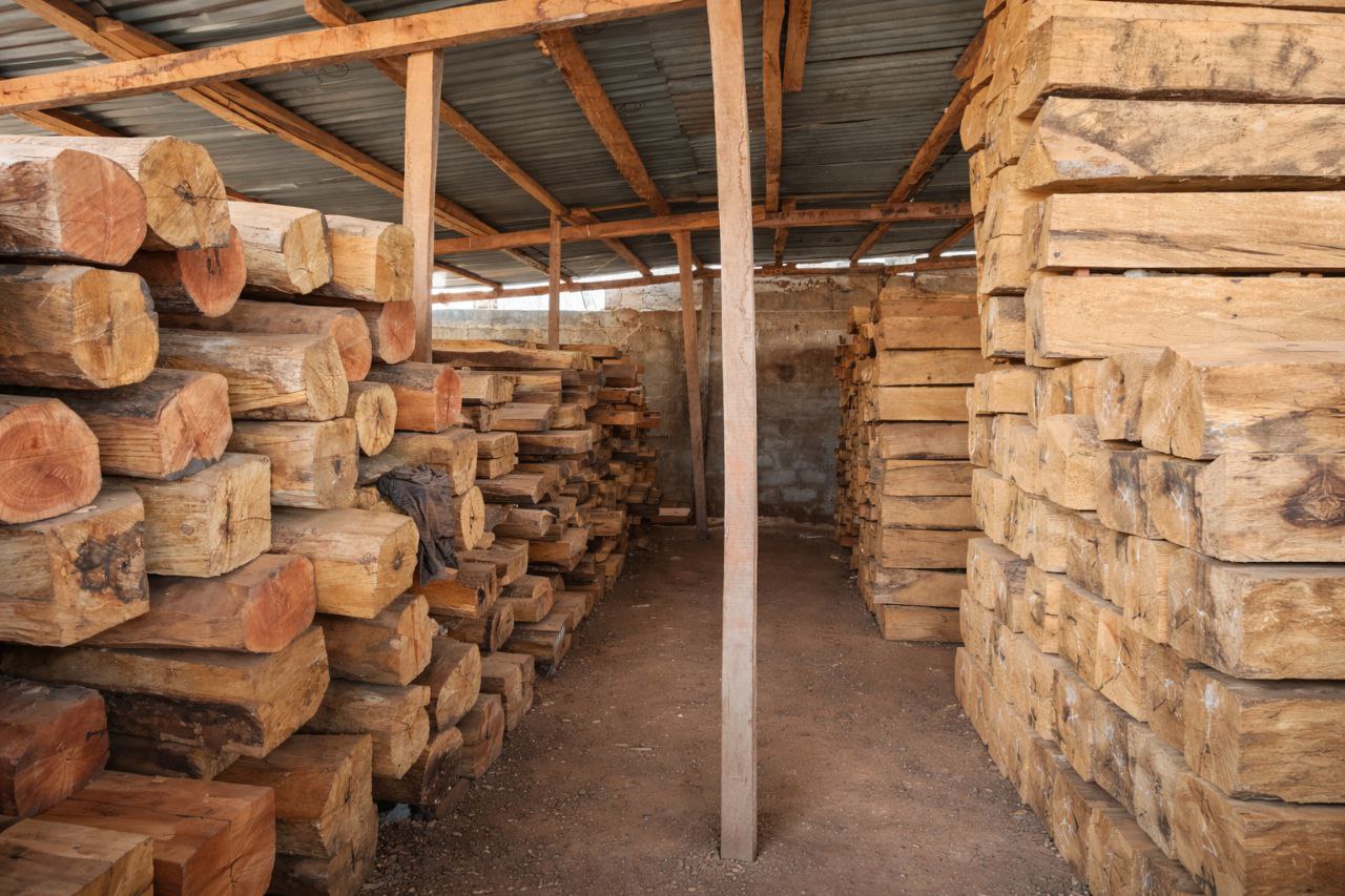 Stock de bois tropicaux